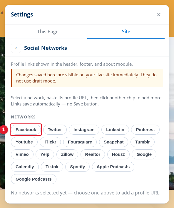 The Social Networks panel