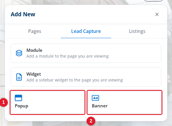 The Lead Capture tab