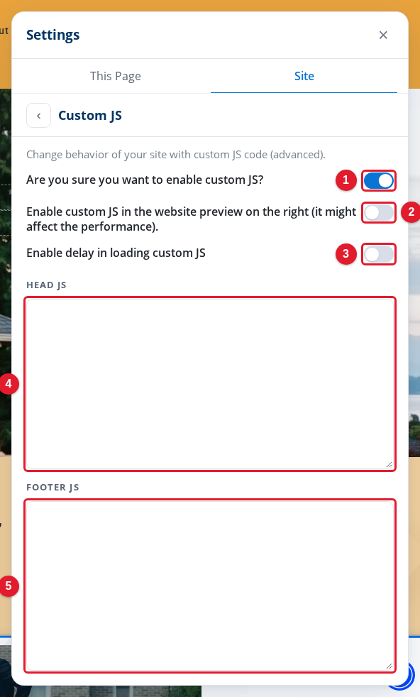 The Custom JS settings
