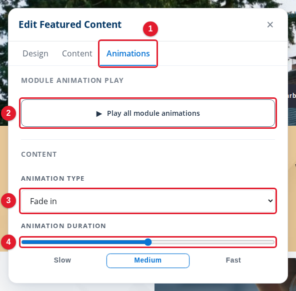The Animations tab of a module