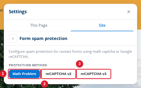 The Form spam protection settings