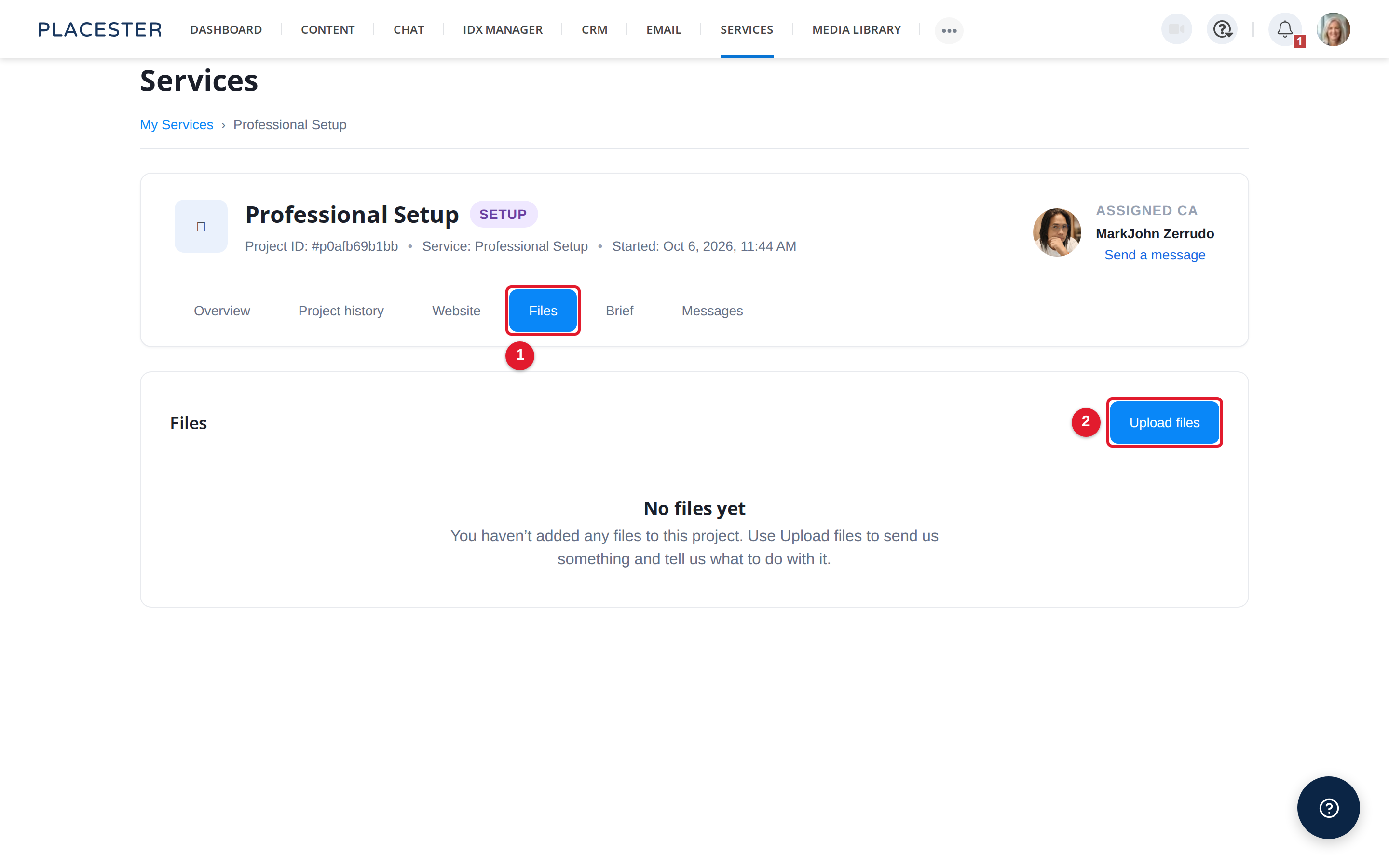 Project Files tab with Upload files button for sending files and instructions