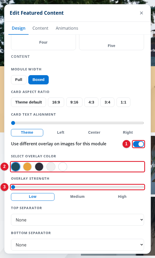 The image overlay controls of a module