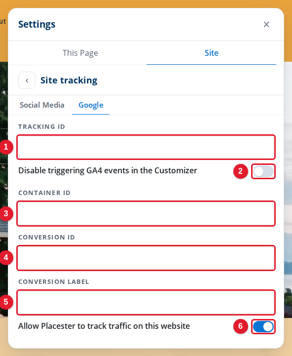 The Google tab of Site tracking