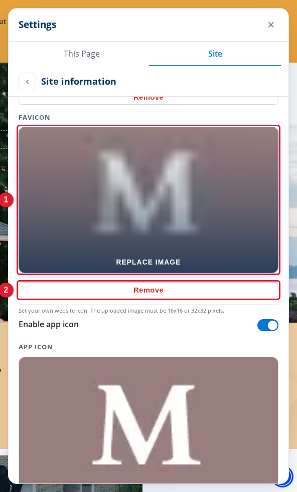 The favicon setting