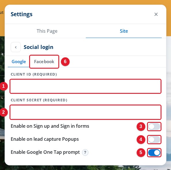 The Google tab of Social login