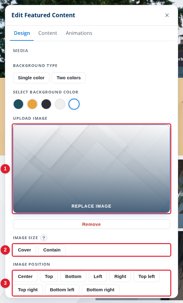 An image field in a module panel